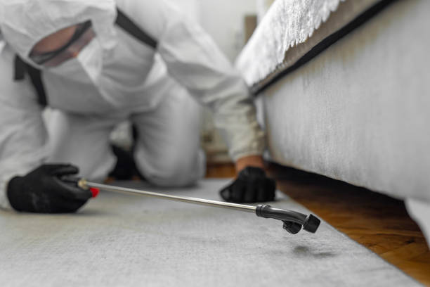 Professional Cockroach Control technician working in Riverside, MO